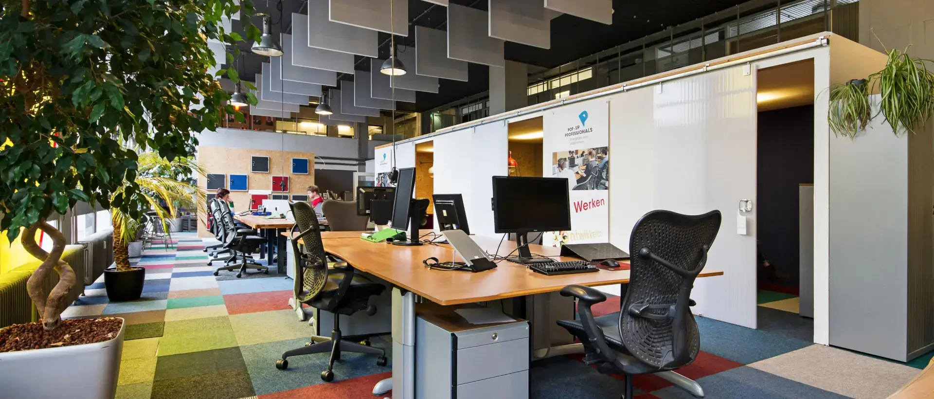 Open space moderne avec bureaux, chaises et plantes vertes